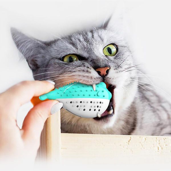 cat toys pet toothbrush toy fish shape catnip flavor silicone molar stick teeth cleaning for cats kitten chew products
cat toys pet toothbrush toy fish shape catnip flavor silicone molar stick teeth cleaning for cats kitten chew products