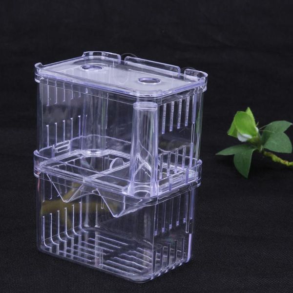aquariums acrylic fish tank aquarium breeding isolation box breeder double guppies hatching incubator pet supplies
aquariums acrylic fish tank aquarium breeding isolation box breeder double guppies hatching incubator pet supplies