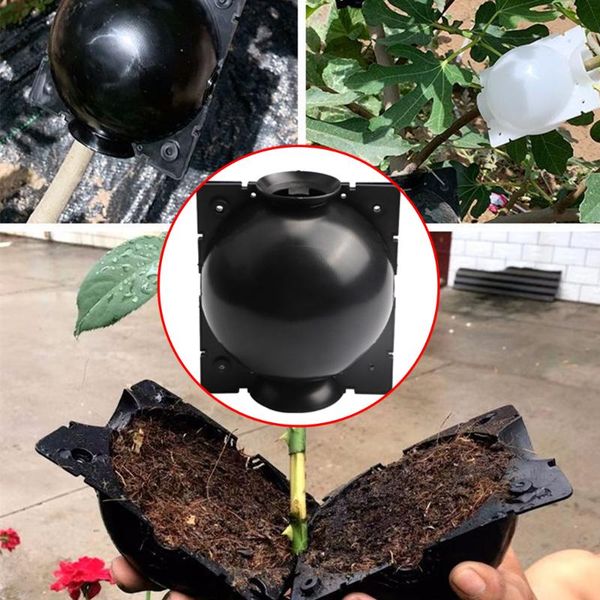 planters & pots 5pcs plant rooting ball grafting growing box breeding case garden high-pressure propagation sapling
planters & pots 5pcs plant rooting ball grafting growing box breeding case garden high-pressure propagation sapling
