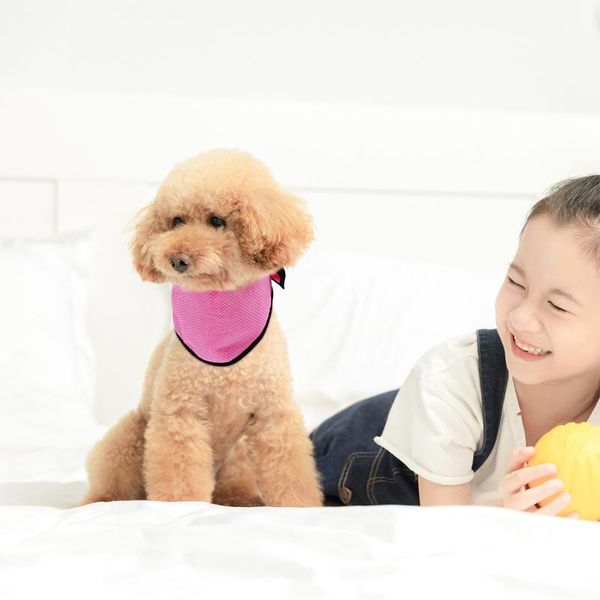 dog apparel 2pcs pet cooling scarf collar ice towel for outdoor walking running training
dog apparel 2pcs pet cooling scarf collar ice towel for outdoor walking running training