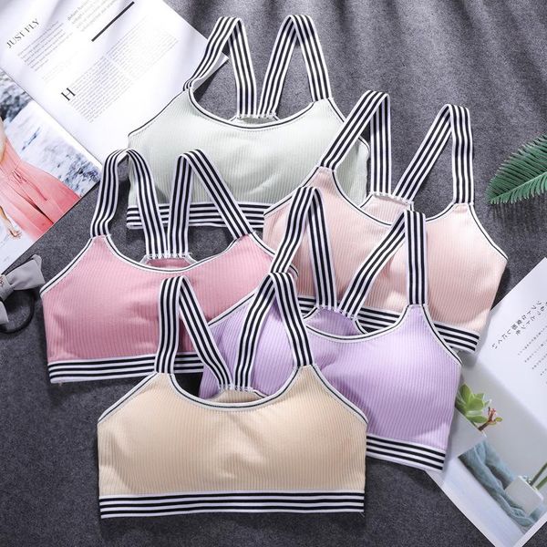 gym clothing sports bra women fitness underwear female running yoga high elastic cotton solid, White;black
gym clothing sports bra women fitness underwear female running yoga high elastic cotton solid, White;black