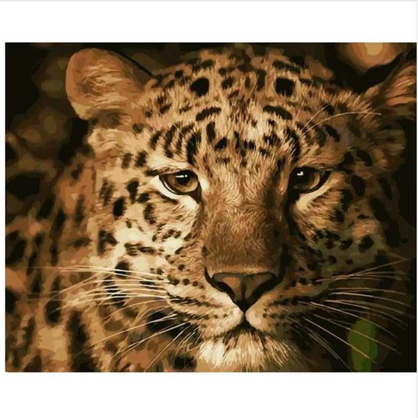 paintings painting by numbers the stare of cheetah drawing on canvas handpainted gift picture number character kits home decoration
paintings painting by numbers the stare of cheetah drawing on canvas handpainted gift picture number character kits home decoration