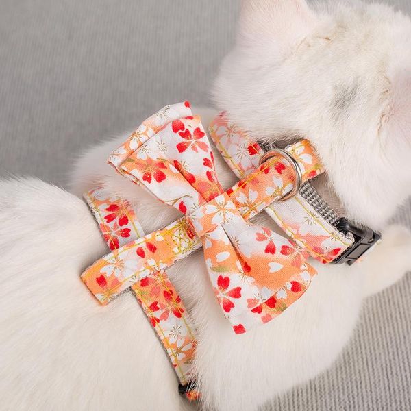 dog collars & leashes harness vest training for chihuahua puppy soft mesh pet dogs cats petshop collar cat chest strap
dog collars & leashes harness vest training for chihuahua puppy soft mesh pet dogs cats petshop collar cat chest strap