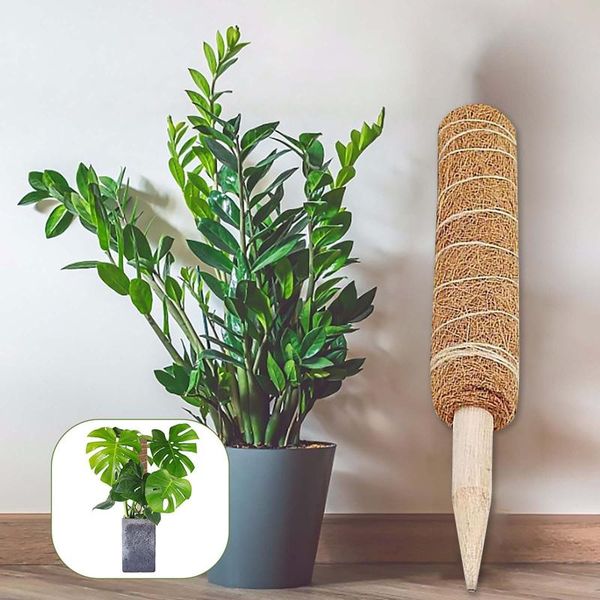 other garden supplies plant climbing pole coir moss stick support for plants extension indoor
other garden supplies plant climbing pole coir moss stick support for plants extension indoor