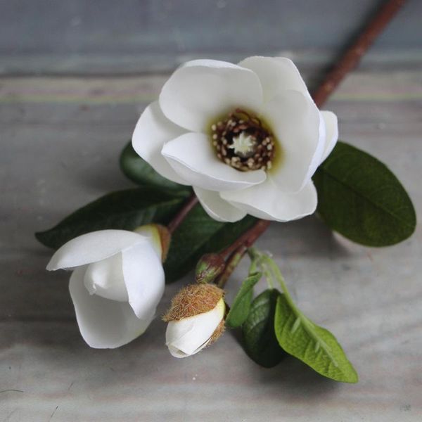 36 cm white pink magnolia silk flower artificial plants craft home christmas wedding decoration garden decors
36 cm white pink magnolia silk flower artificial plants craft home christmas wedding decoration garden decors