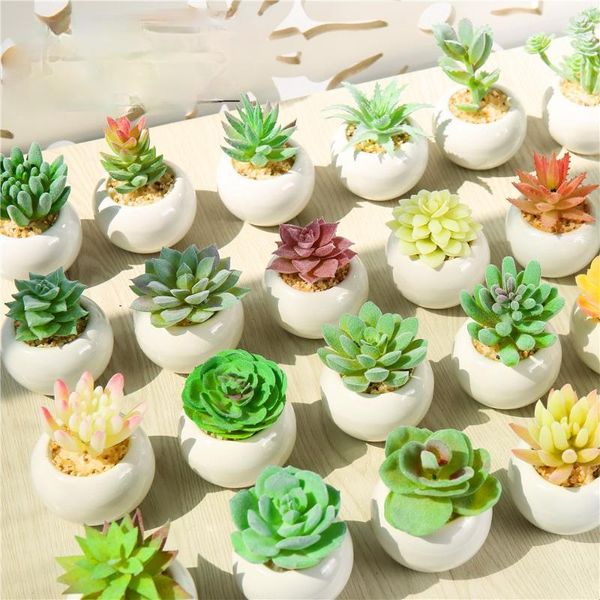 decorative flowers & wreaths mini home decoration accessories fake succulents artificial plants with pot wedding party gift
decorative flowers & wreaths mini home decoration accessories fake succulents artificial plants with pot wedding party gift