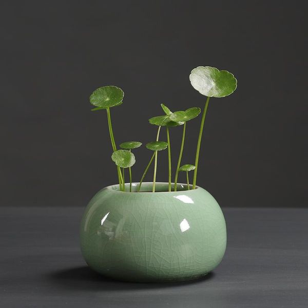 1pc ceramic hydroponic small flowerpot non-hole flower pot green plant container deskflower holder home decoration
1pc ceramic hydroponic small flowerpot non-hole flower pot green plant container deskflower holder home decoration