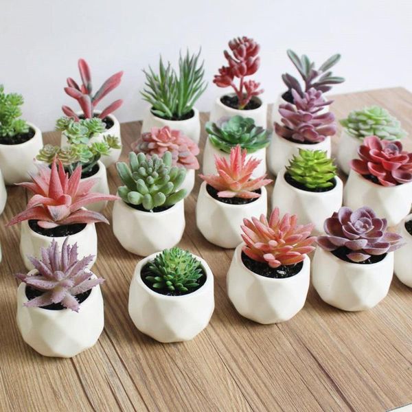 24styles green artificial succulents plants christmas wedding party home garden decoration fake plants diy flower arrangement
24styles green artificial succulents plants christmas wedding party home garden decoration fake plants diy flower arrangement