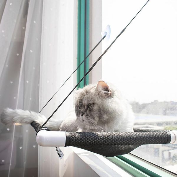 cat beds & furniture detachable sunny window mount hanging cute comfortable pet hammock cloth vacuum suction cup seat bearing 10kg
cat beds & furniture detachable sunny window mount hanging cute comfortable pet hammock cloth vacuum suction cup seat bearing 10kg