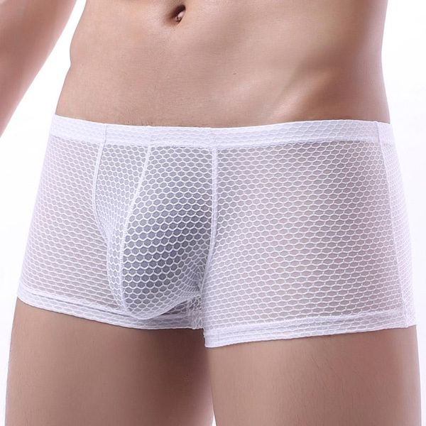 underpants mens boxer men panties see-through gay underwear mesh male lingerie transparent homme boxershorts, Black;white
underpants mens boxer men panties see-through gay underwear mesh male lingerie transparent homme boxershorts, Black;white
