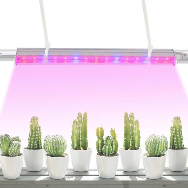 5pcs grow light strips led phytolamp for plants phyto lamp house hydroponics phyto-lamp lighting indoor flowers growth shelf
5pcs grow light strips led phytolamp for plants phyto lamp house hydroponics phyto-lamp lighting indoor flowers growth shelf