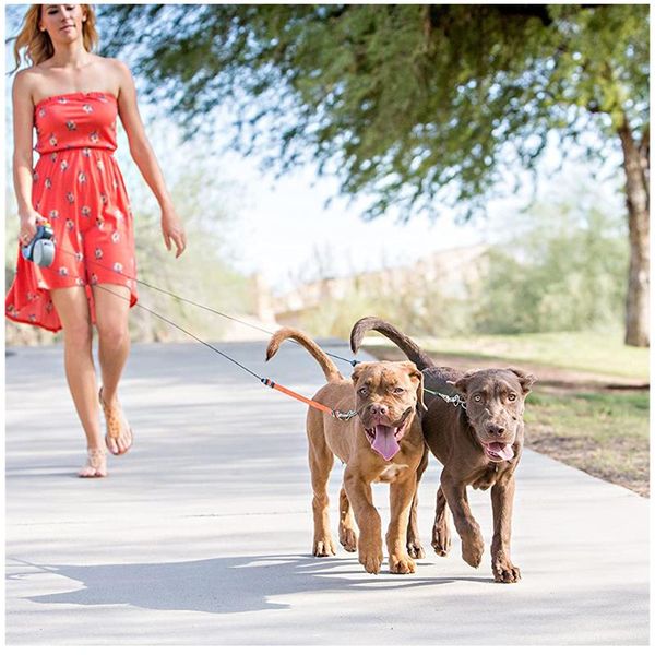 automatic retractable reflective double-ended traction rope one plus two dog chain two dog leash pet supplies puppy rope
automatic retractable reflective double-ended traction rope one plus two dog chain two dog leash pet supplies puppy rope