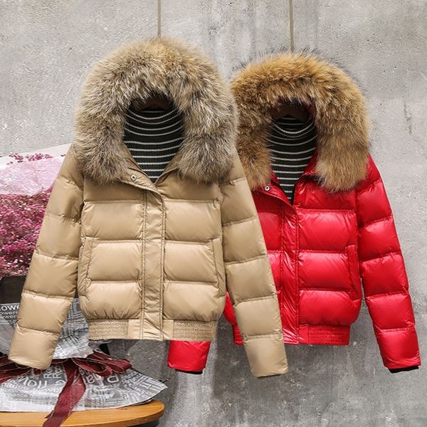 2021 Ailegog New Winter Women Real Raccoon Fur Collar White Duck Hooded Jacket Short Coats Female Slim Casual Down Outerwear, Black
2021 Ailegog New Winter Women Real Raccoon Fur Collar White Duck Hooded Jacket Short Coats Female Slim Casual Down Outerwear, Black