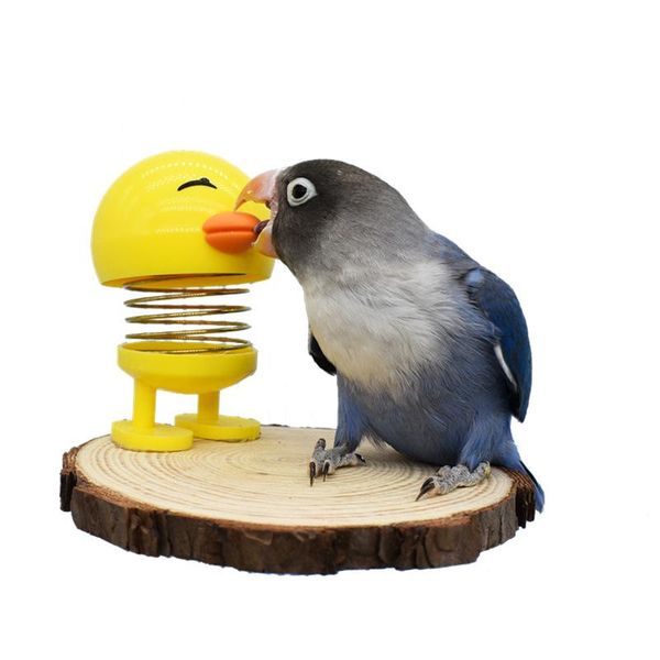 other bird supplies 2021 funny parrot toys stand moving cage platform relieve stress perching stick lovebird
other bird supplies 2021 funny parrot toys stand moving cage platform relieve stress perching stick lovebird