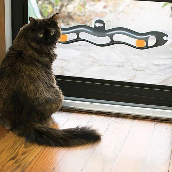 cat toys pet sucker windows toy play pipe funny ball with balls track tunnel products 1pc supplies
cat toys pet sucker windows toy play pipe funny ball with balls track tunnel products 1pc supplies