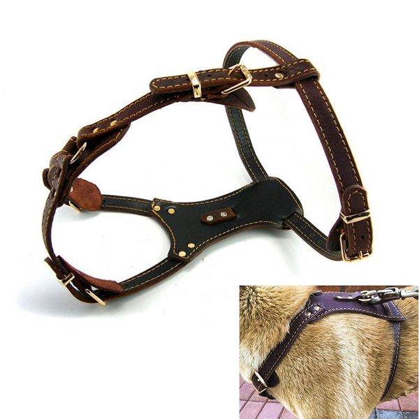 dog collars & leashes large vest harness collar premium double layer thickened real leather professional for working big leads
dog collars & leashes large vest harness collar premium double layer thickened real leather professional for working big leads