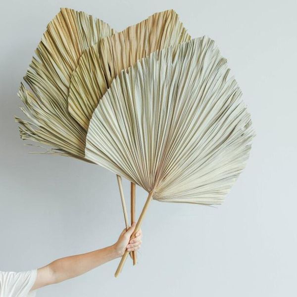 decorative flowers & wreaths natural dried flower palm leaf diy art wall hanging decoration for wedding arch arrangement party home po props
decorative flowers & wreaths natural dried flower palm leaf diy art wall hanging decoration for wedding arch arrangement party home po props