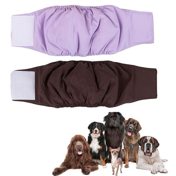 dog apparel xs/s/m/l/xl reusable male pet diaper physiological pants breathable waterproof shorts products lb
dog apparel xs/s/m/l/xl reusable male pet diaper physiological pants breathable waterproof shorts products lb