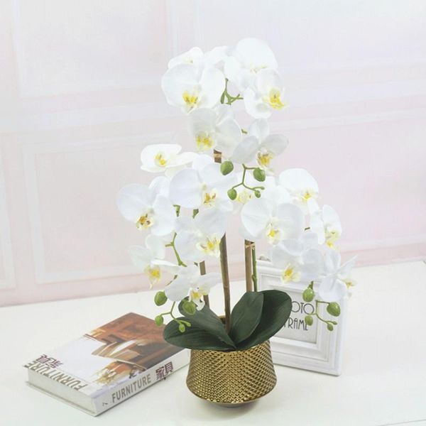 decorative flowers & wreaths simulation phalaenopsis bonsai artificial silk wedding party garden home decoration highly imitation real
decorative flowers & wreaths simulation phalaenopsis bonsai artificial silk wedding party garden home decoration highly imitation real