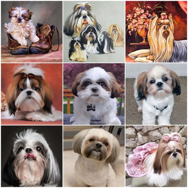 diamond painting 5d diy by number shih tzu dog picture rhinestone embroidery animal pet mosaic art puppy cross stitch 
diamond painting 5d diy by number shih tzu dog picture rhinestone embroidery animal pet mosaic art puppy cross stitch