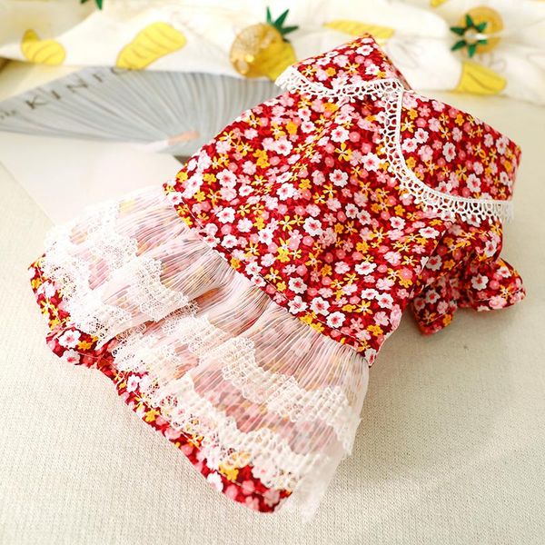 dog apparel pet teddy schnauzer small spring red floral skirt pomeranian chihuahua bichon puppy clothes
dog apparel pet teddy schnauzer small spring red floral skirt pomeranian chihuahua bichon puppy clothes