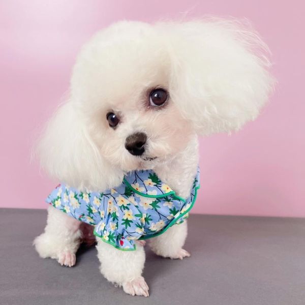 dog apparel summer pet clothes with cute floral puppy sweet shirts for small breeds cats fashionable puff sleeve chihuahua clothing
dog apparel summer pet clothes with cute floral puppy sweet shirts for small breeds cats fashionable puff sleeve chihuahua clothing