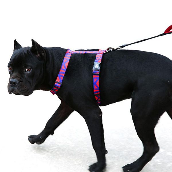 dog collars & leashes pet chest leash harness breathable adjustable small medium traction vest walking puppy belt supplies
dog collars & leashes pet chest leash harness breathable adjustable small medium traction vest walking puppy belt supplies