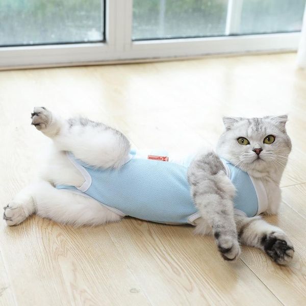 cat costumes pet dog suit sterilization service weaning posrative operation anti-mite comfortable anti-off kitten clothes
cat costumes pet dog suit sterilization service weaning posrative operation anti-mite comfortable anti-off kitten clothes