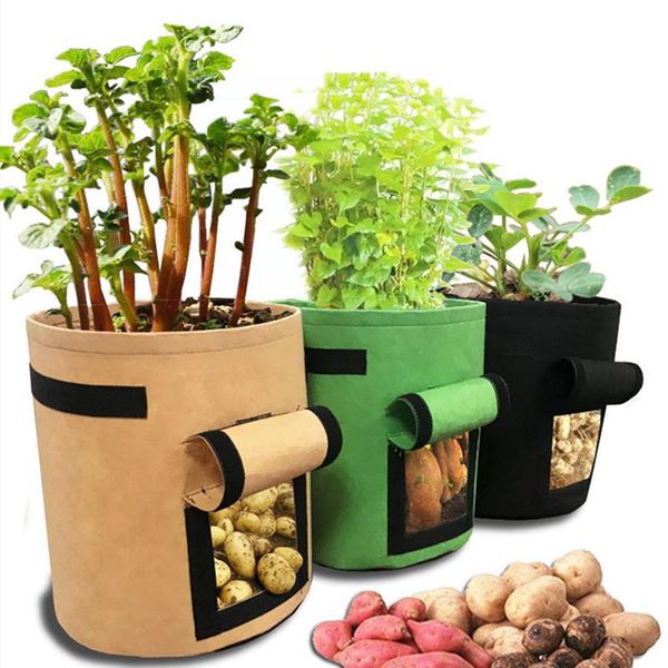planters & pots 7 10 gallon potato planting bag pot planter growing gardening grow container
planters & pots 7 10 gallon potato planting bag pot planter growing gardening grow container