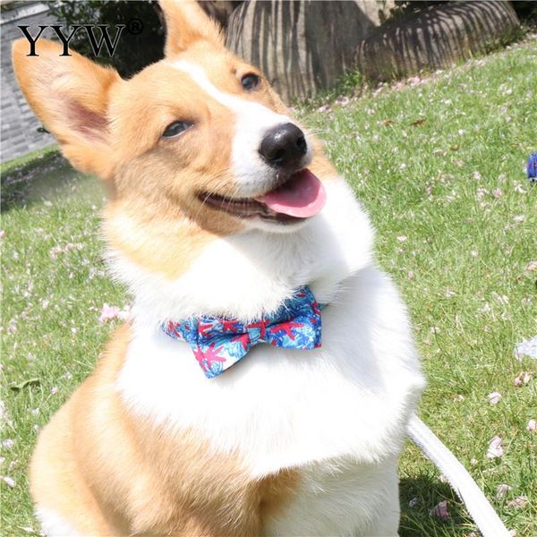 dog collars & leashes pets collar tie perro bow scarf nylon adjustable bandana bibs pet saliva towel bib accessories
dog collars & leashes pets collar tie perro bow scarf nylon adjustable bandana bibs pet saliva towel bib accessories