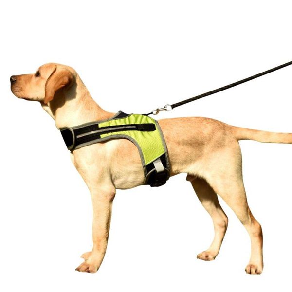 led dog harness dog collar luminous safety reflective harness vest for husky shepherd labrador medium large dogs pet products
led dog harness dog collar luminous safety reflective harness vest for husky shepherd labrador medium large dogs pet products