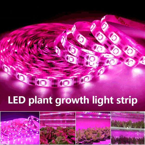 led grow light strip dc5v 0.5-3m full spectrum usb interface waterproof plant light to promote growth for indoor planting
led grow light strip dc5v 0.5-3m full spectrum usb interface waterproof plant light to promote growth for indoor planting