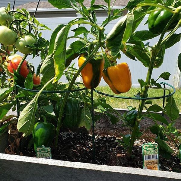 other garden supplies 6 pack plant support stakes ring cage metal stake for peony tomato vegetable rose flowers vine
other garden supplies 6 pack plant support stakes ring cage metal stake for peony tomato vegetable rose flowers vine