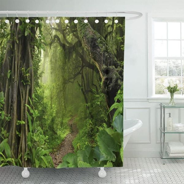 shower curtains green forest asian tropical jungle rainforest swamp tree amazon curtain waterproof fabric 60 x 72 inches set with hooks
shower curtains green forest asian tropical jungle rainforest swamp tree amazon curtain waterproof fabric 60 x 72 inches set with hooks