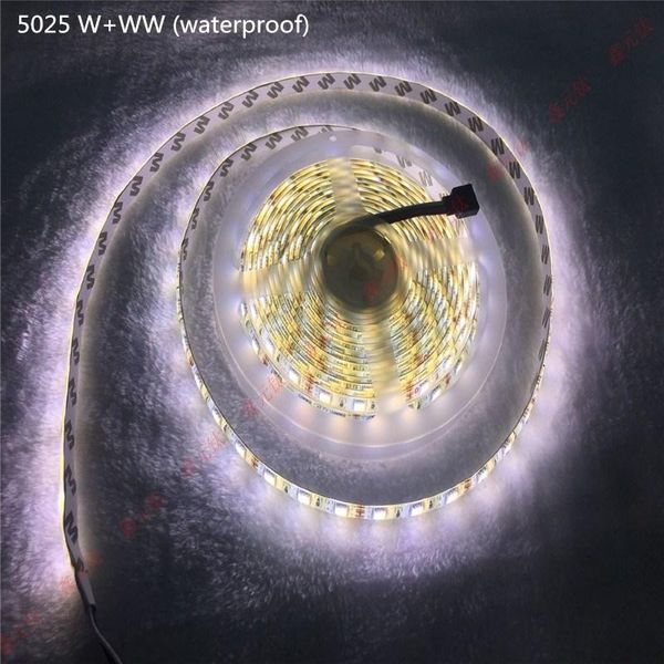 5025 12v w+ww led strip white warm white 300leds highlight watertight non-watertight two color temperature lamp band 5m/lot
5025 12v w+ww led strip white warm white 300leds highlight watertight non-watertight two color temperature lamp band 5m/lot