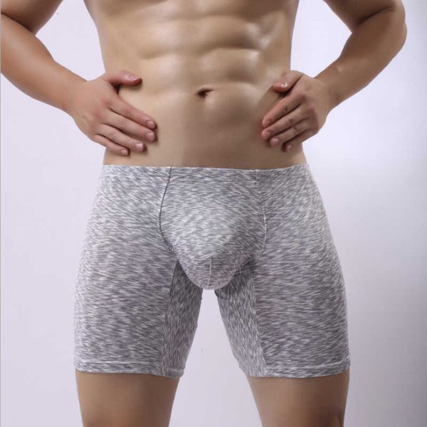 underpants 2021 new mens underwear boxers long man boxer homme slip panties men's leg hombre brand boxershorts 529, Black;white
underpants 2021 new mens underwear boxers long man boxer homme slip panties men's leg hombre brand boxershorts 529, Black;white