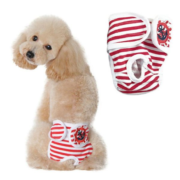 dog apparel pet physiological pants diaper sanitary washable female shorts panties menstruation underwear briefs for girl
dog apparel pet physiological pants diaper sanitary washable female shorts panties menstruation underwear briefs for girl