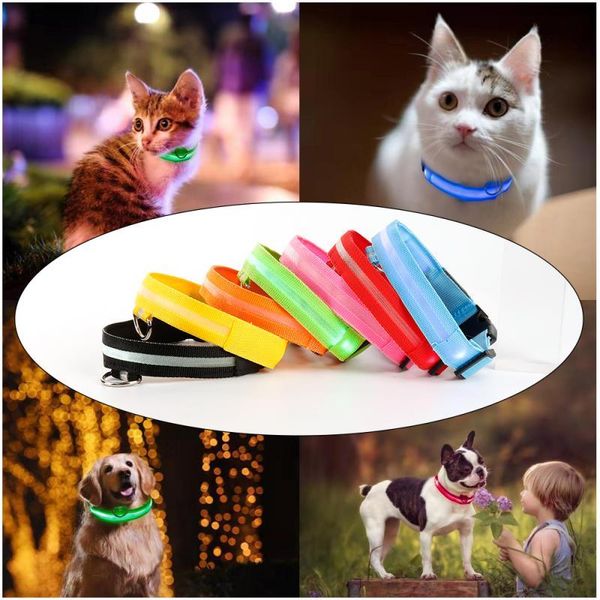 dog collars & leashes nylon led collar pet night glowing luminous rechargeable safety flashing glow
dog collars & leashes nylon led collar pet night glowing luminous rechargeable safety flashing glow