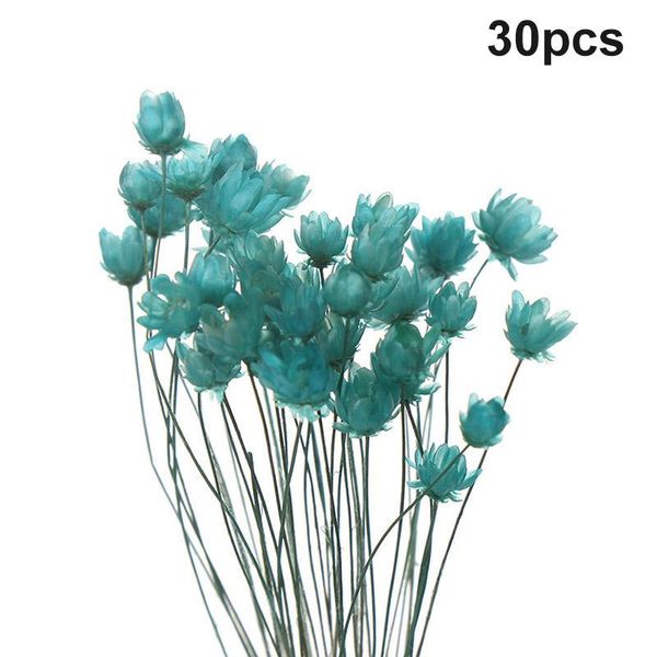 decorative flowers & wreaths 30pcs dried flower brazilian little star gypsophila chrysanthemum art decor diy drop
decorative flowers & wreaths 30pcs dried flower brazilian little star gypsophila chrysanthemum art decor diy drop