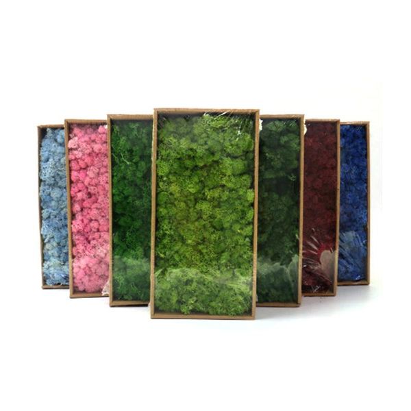 decorative flowers & wreaths artificial green plant immortal fake flower moss grass home living room wall diy mini accessories
decorative flowers & wreaths artificial green plant immortal fake flower moss grass home living room wall diy mini accessories