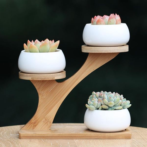 vases wood tree shelf flower pots planters ceramic deskvase home decor modern design
vases wood tree shelf flower pots planters ceramic deskvase home decor modern design
