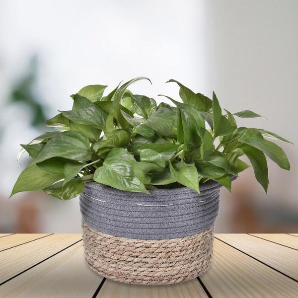 storage baskets woven planter basket handmade flower storag for toys laundry home living room decoration pot holder
storage baskets woven planter basket handmade flower storag for toys laundry home living room decoration pot holder