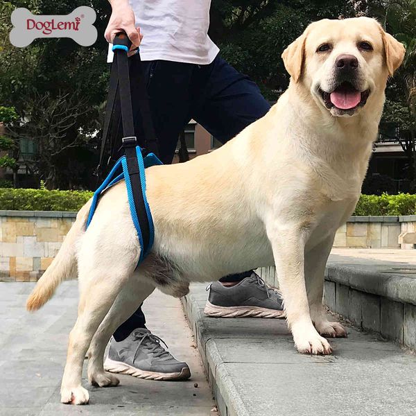 dog apparel pet clothes leg strap walking bracket hind disabled injured senior auxiliary
dog apparel pet clothes leg strap walking bracket hind disabled injured senior auxiliary