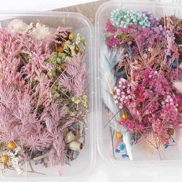 decorative flowers & wreaths 1 box colorful real dried flower plant for candle epoxy resin pendant necklace jewelry making diy
decorative flowers & wreaths 1 box colorful real dried flower plant for candle epoxy resin pendant necklace jewelry making diy