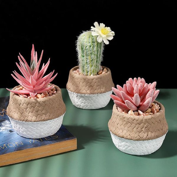 decorative flowers & wreaths artificial succulents plant lifelike garden miniature fake cactus flower with vase home office deskdecorati
decorative flowers & wreaths artificial succulents plant lifelike garden miniature fake cactus flower with vase home office deskdecorati