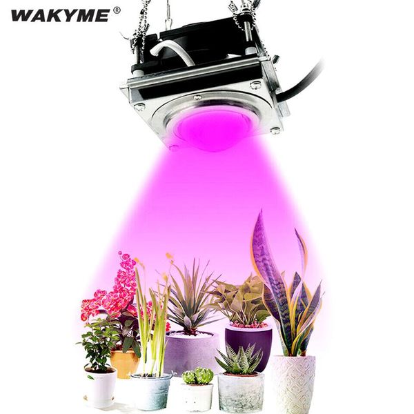 wakyme 60w grow light led phyto lamp full spectrum phytolamp for plants indoor seed flower seedling hydroponics cultivation lamp
wakyme 60w grow light led phyto lamp full spectrum phytolamp for plants indoor seed flower seedling hydroponics cultivation lamp