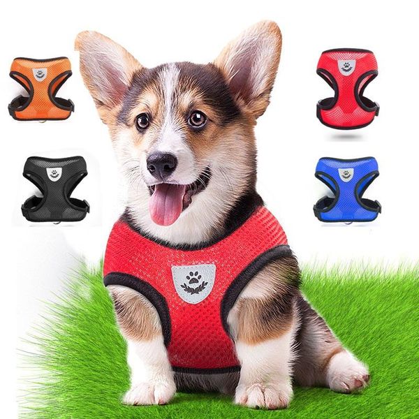 dog collars & leashes breathable pet harness puppy leash set small cat vest acccessories
dog collars & leashes breathable pet harness puppy leash set small cat vest acccessories