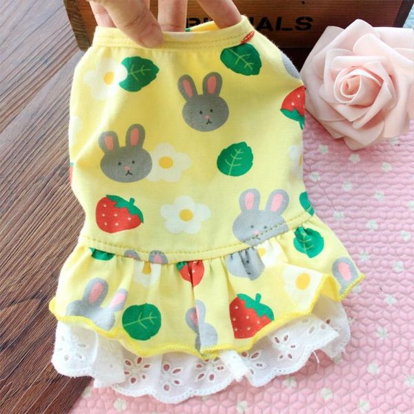 dog apparel couple pet clothes for small medium costume puppy skirt 2021 dogs pets clothing vest dress ropa perro
dog apparel couple pet clothes for small medium costume puppy skirt 2021 dogs pets clothing vest dress ropa perro