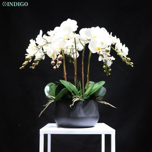 indigo- white moth orchid (7pcs orchid+5pcs leaves+pot) diy flower arrangment 3d real touch office decoration event centerpiece
indigo- white moth orchid (7pcs orchid+5pcs leaves+pot) diy flower arrangment 3d real touch office decoration event centerpiece