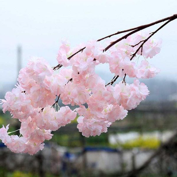decorative flowers & wreaths 5pc artificial cherry blossom flower branch sakura tree decor for party event wedding wall ceiling
decorative flowers & wreaths 5pc artificial cherry blossom flower branch sakura tree decor for party event wedding wall ceiling